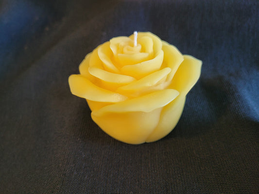 Rose Pillar Candles